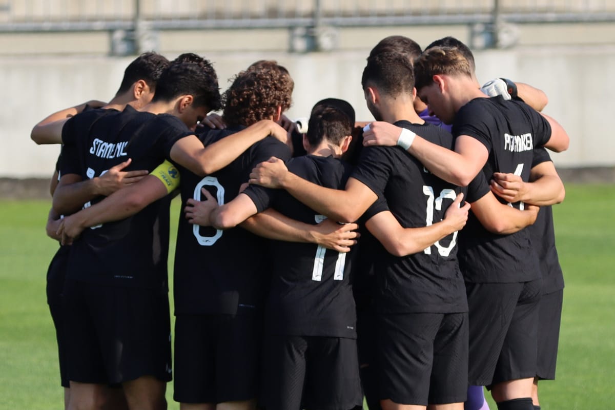 Selección de Nueva Zelanda, en el partido amistoso frente a Qatar