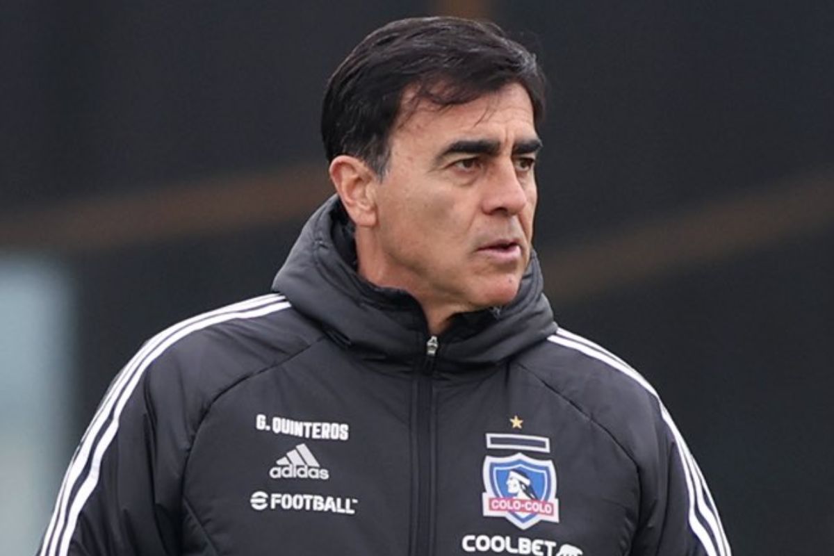 Colo colo 2025 buzo