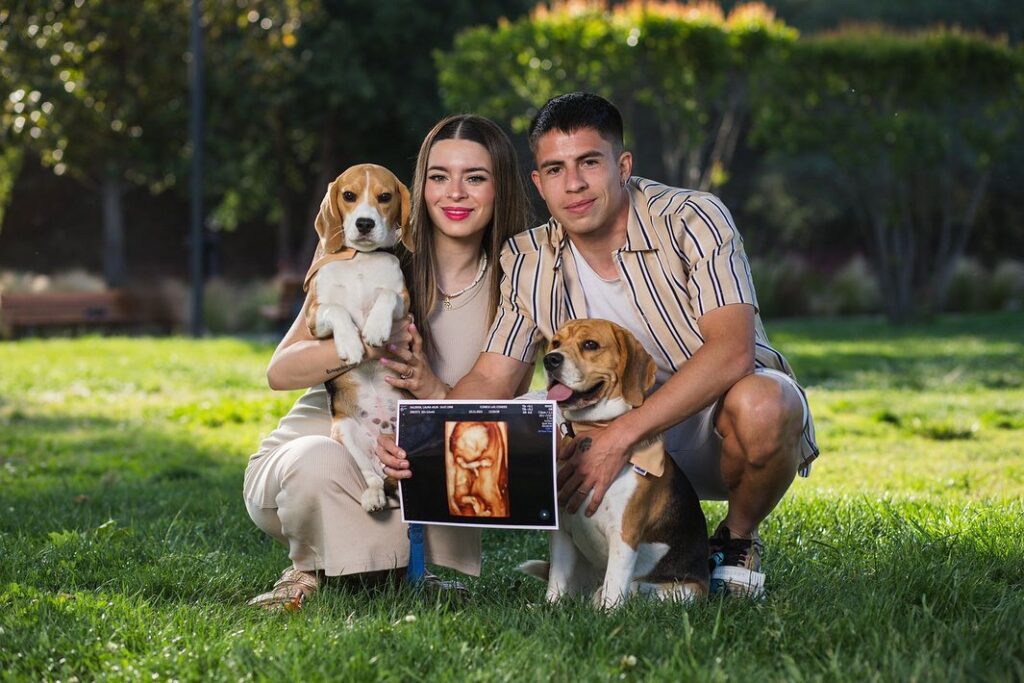 Matías Moya junto a Lila Saldivia y sus perros anunciando que esperan un hijo.