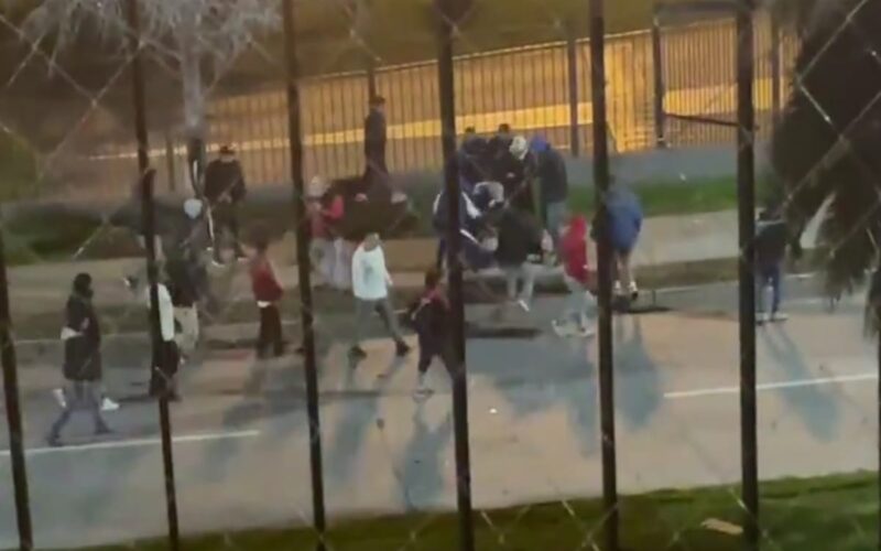 Agresiones a hincha de Colo-Colo