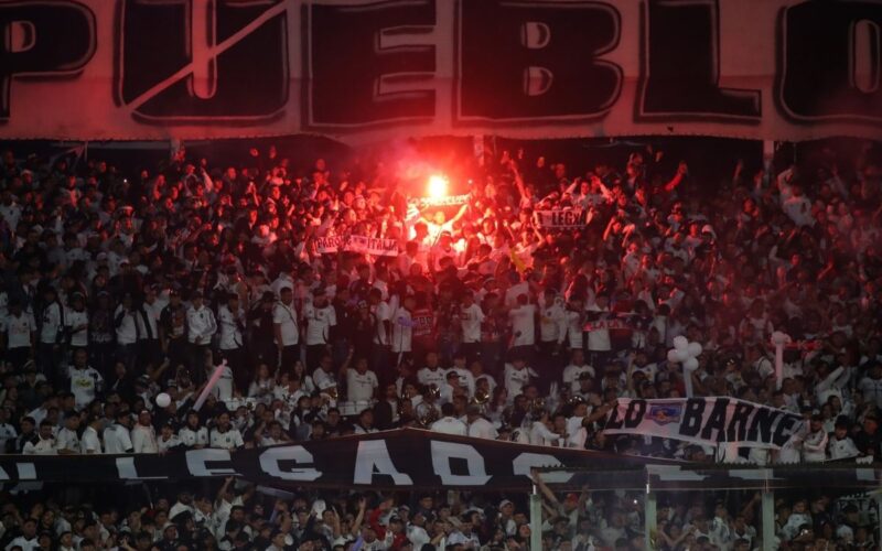 Garra Blanca