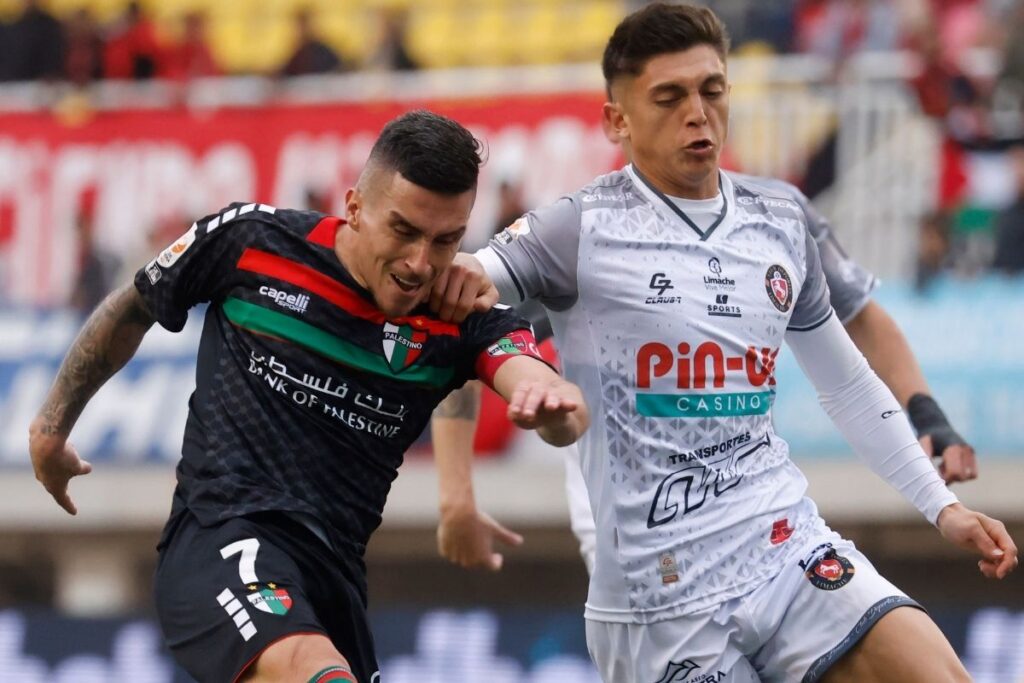 Palestino vs Deportes Limache