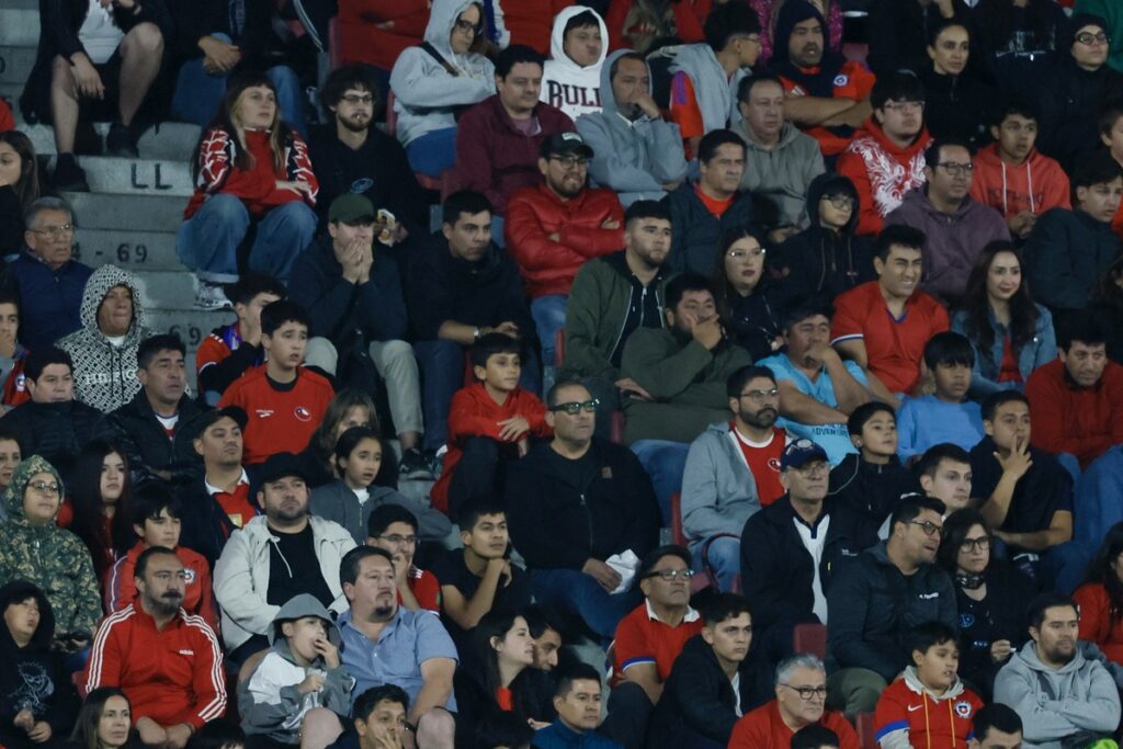 Fanáticos de La Roja